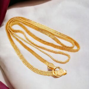1 Gram Gold Plated Long Chain