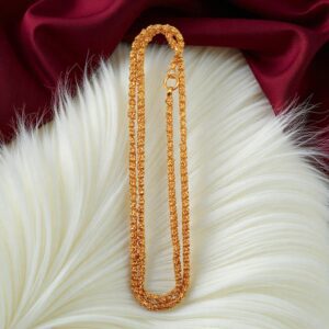 1 Gram Gold Plated Long Chain