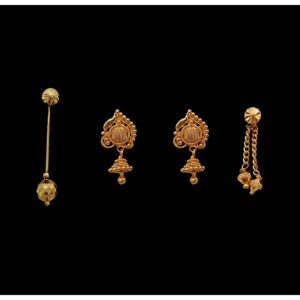 1 Gram Gold Plated Combo Earrings
