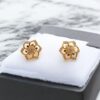 Pretty Queen - 1 Gram Gold Plated AD Stone Stud Earring