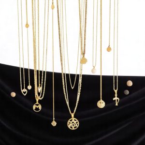 24" Inch Dollar Chains