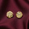 1 Gram Gold Plated AD Stud