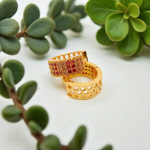 1 Gram Gold Plated Bali/Ring Type Earring
