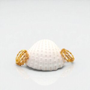 1 Gram Gold Plated Bali/Ring Type Earring