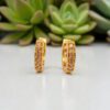 1 Gram Gold Plated Bali/Ring Type Earring