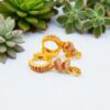 1 Gram Gold Plated Bali/Ring Type Earring