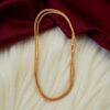 1 Gram Gold Plated Long Chain