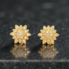 1 Gram Gold Plated AD/CZ Stud