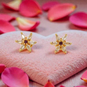 1 Gram Gold Plated AD/CZ Stud