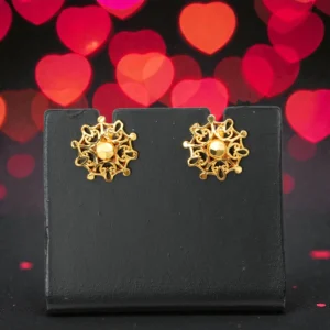 1 Gram Gold Plated AD/CZ Stud