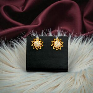Star Design 1 Gram Gold Plated AD Stud